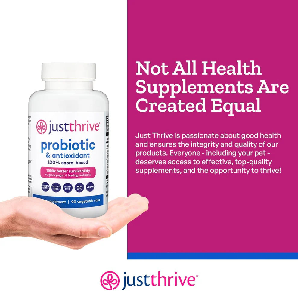 Just Thrive Probiotic & Antioxidant – Digestive & Immune Support (90 Capsules)