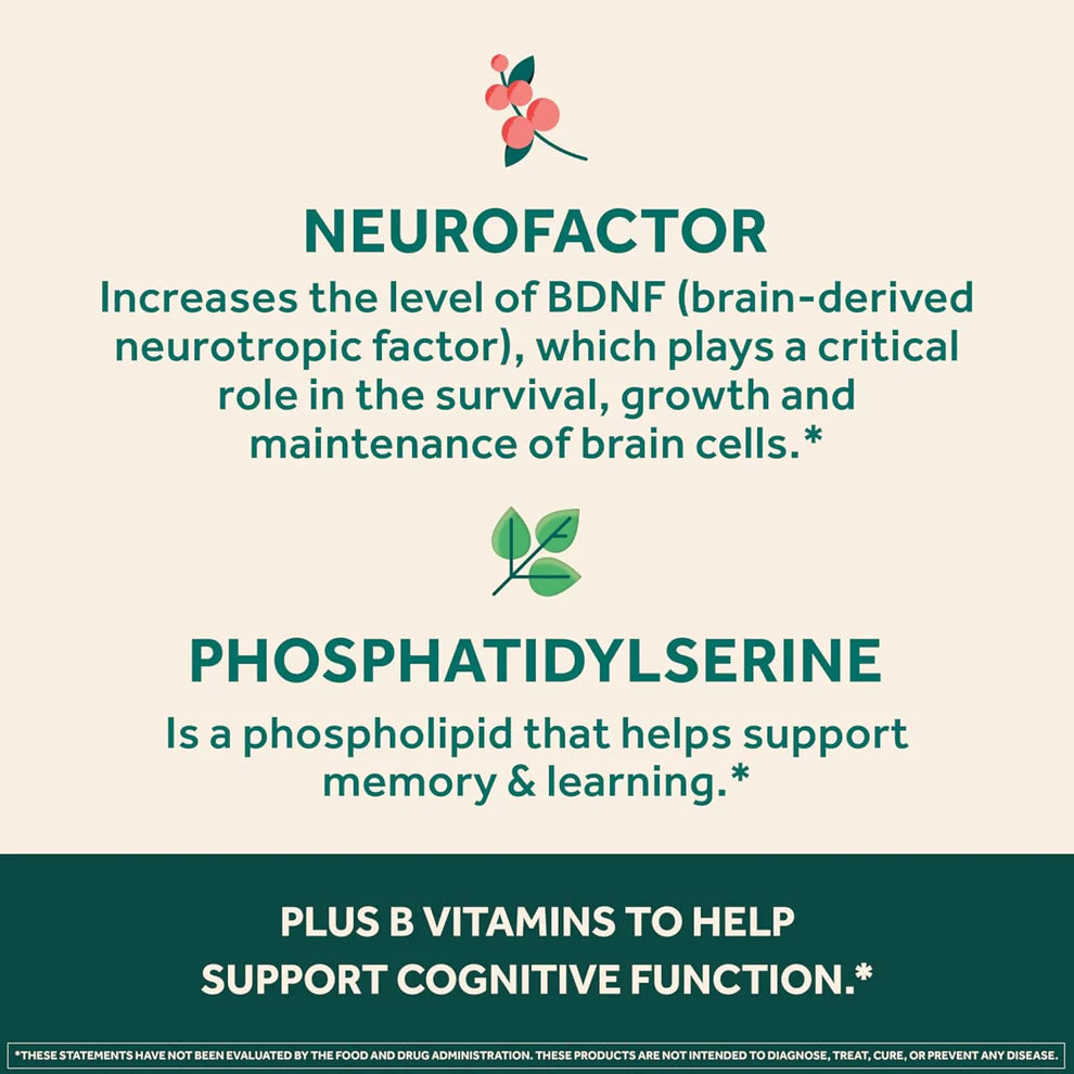 Neuriva Ultra Decaffeinated Brain Supplement – Memory, Focus & Mental Alertness Support (60 Capsules)