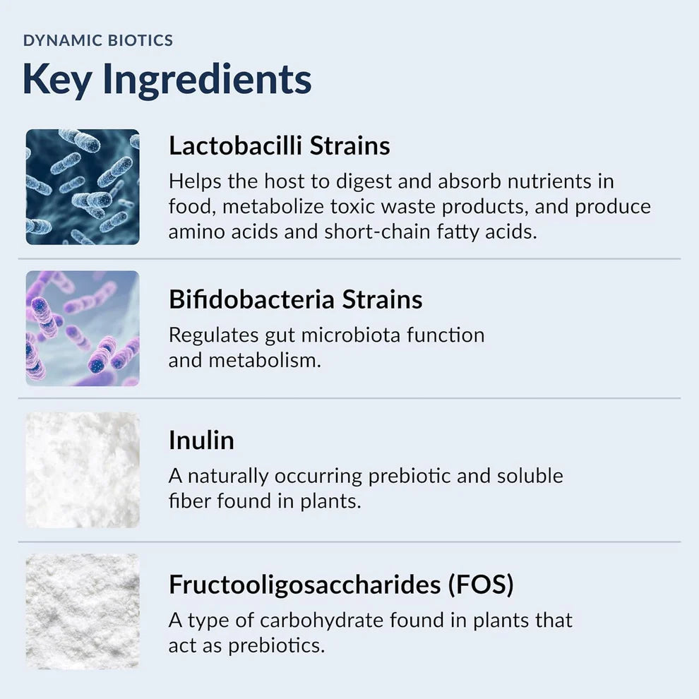Stonehenge Health Dynamic Biotics – 55 Billion CFU Probiotic with 16 Strains & Prebiotics (30 Capsules)