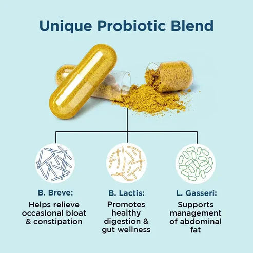 BB Company Provitalize Probiotics for Women Digestive Health, Menopause, Joint Support 60 Capsules